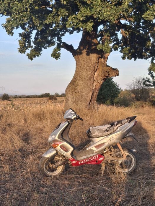 Vand scuter peugeot speedfight2