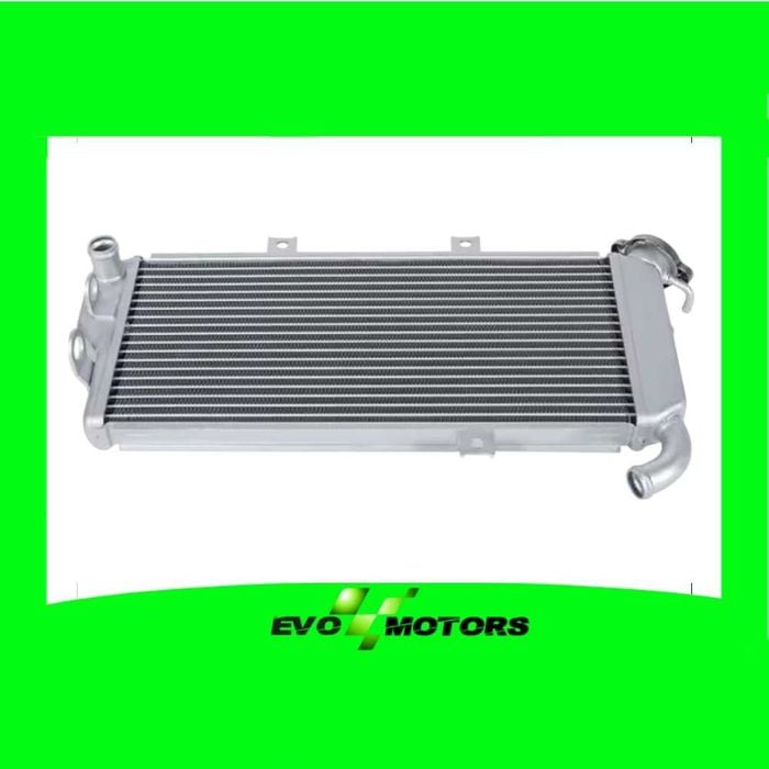 Radiator Kawasaki Ninja EX650 2012-2016 A1329