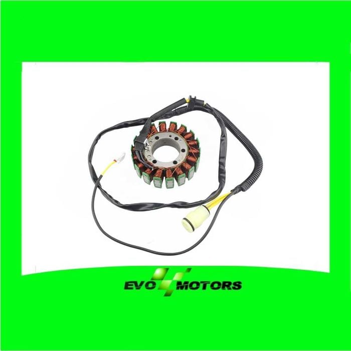 Stator Kawasaki Ninja ZX12R an 2002-2003 Bobina Alternator zx-12r A769