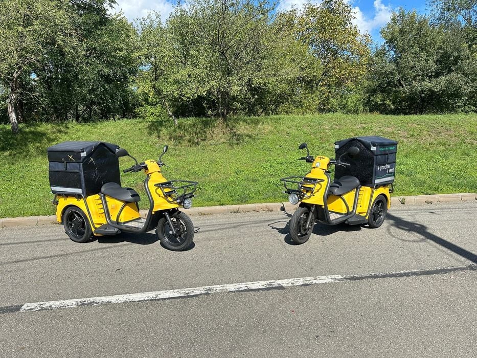 De vanzare Scuter Electric Profesional