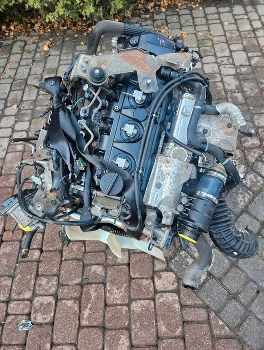 Motor Nissan Navara 2.5 DCI cod motor : YD25DDTI