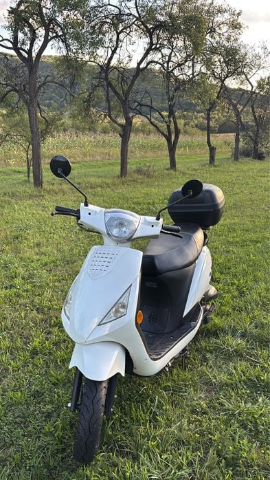 Vand scouter LA SOURIS