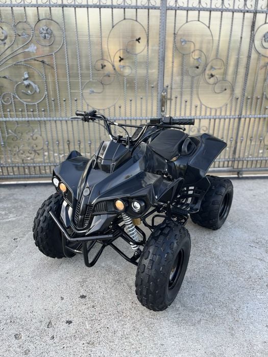 Atv 125 Renegade Pro Germany