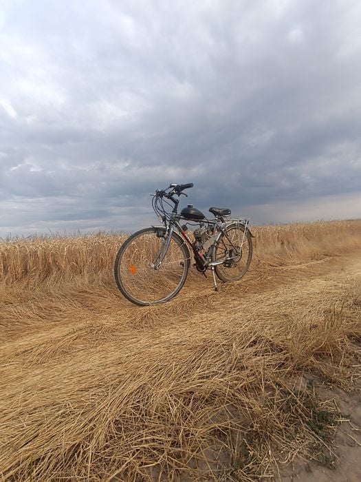 Bicicleta cu motor