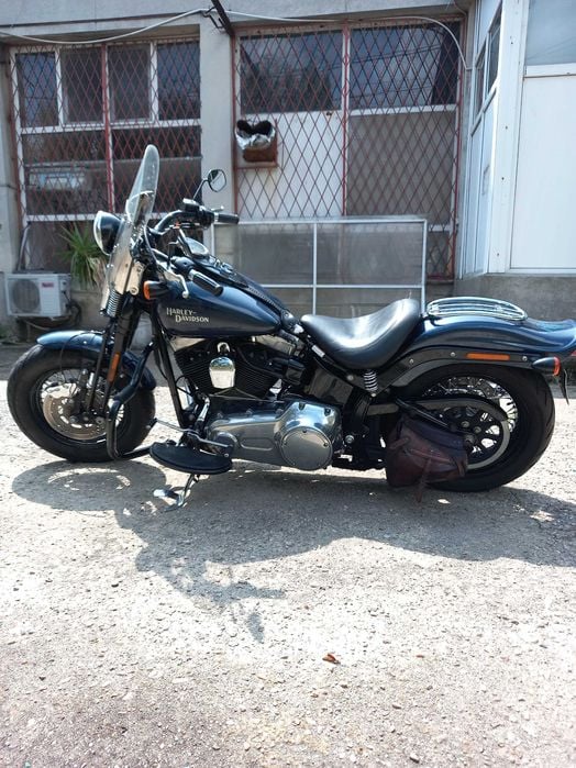 Harley Davidson Cross Bones