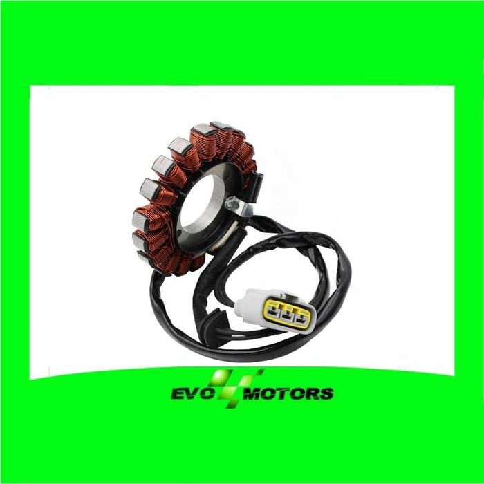 Stator Alternator BMW S1000RR 2018-2020 S1000XR 18-19 Bobina A841