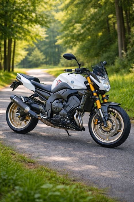 Yamaha FZ8, 799cm3, 2011
