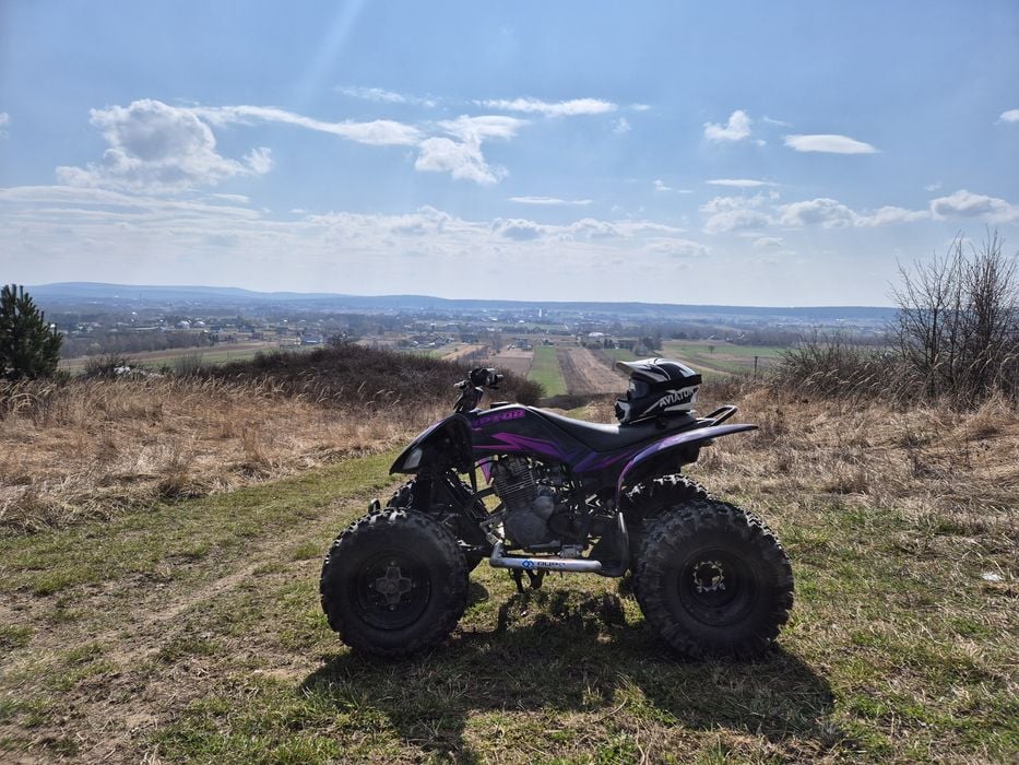 2008 Yamaha Raptor YFM 250