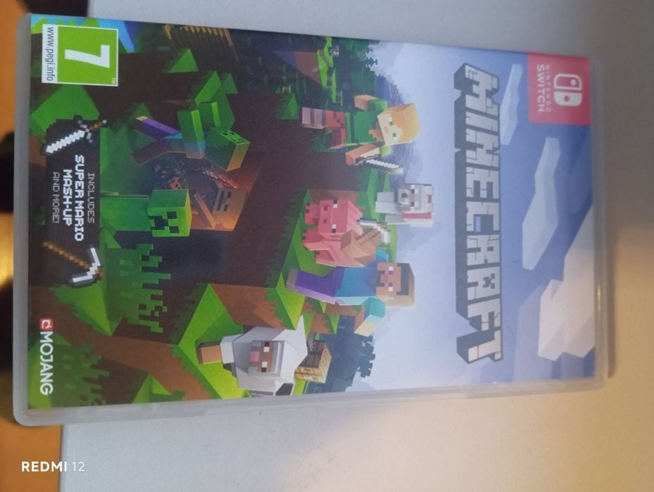 Minecraft Nintendo Switch