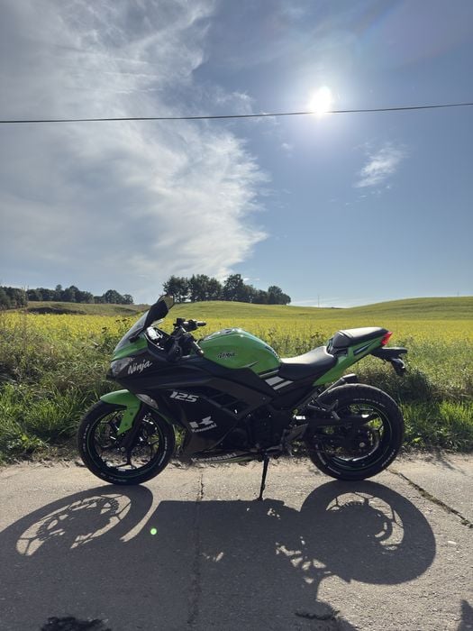 Kawasaki ninja 300/125