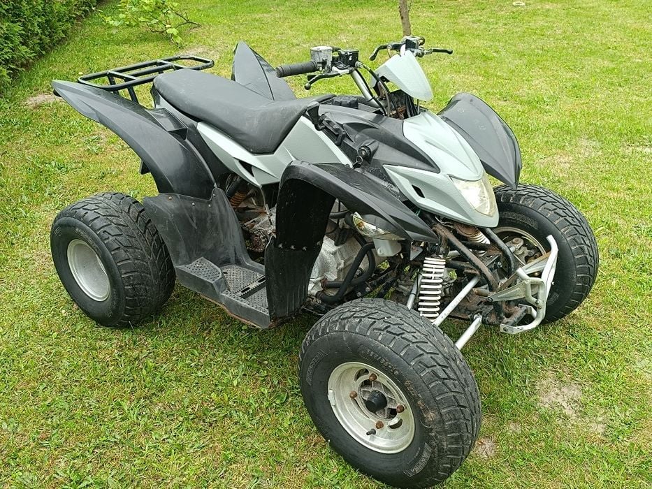 Quad aeon cobra 300