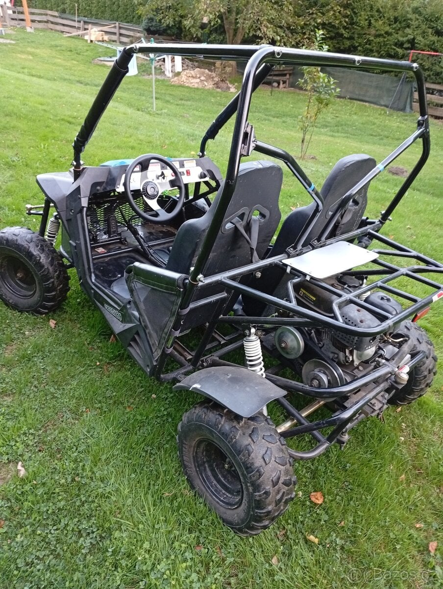 Dětská buggy