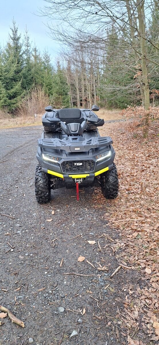 BLADE 600 LTX MAX EPS 4x4 LIMITED (E5)