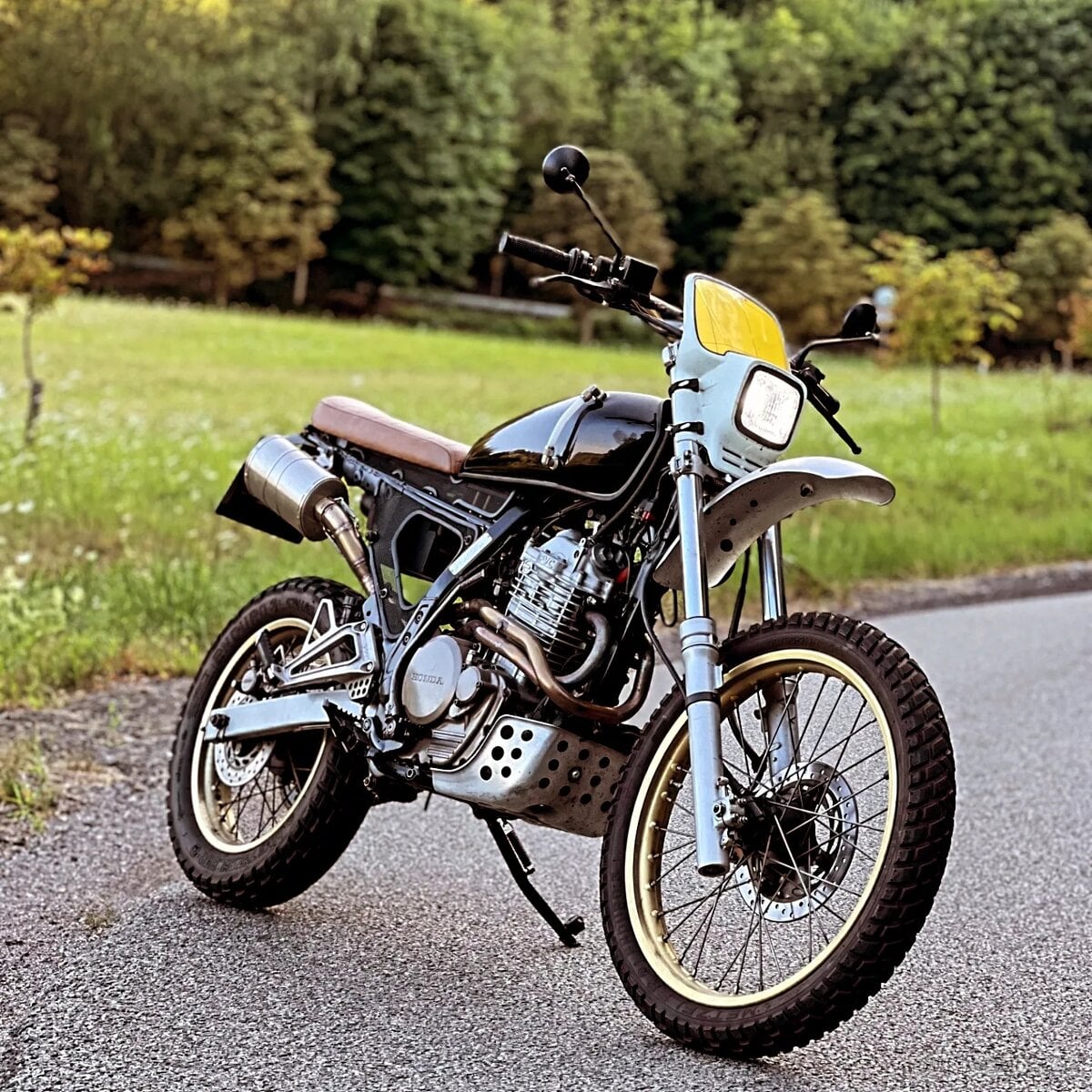 Honda dominator 650 scrambler