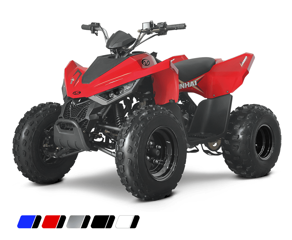 dětská čtyřkolka Linhai ATV 110 2x4