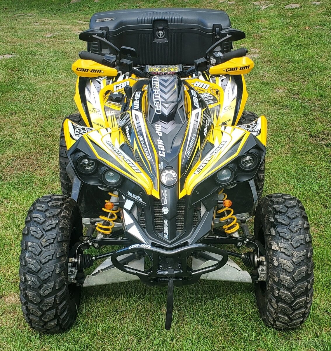 Can am renegade 500