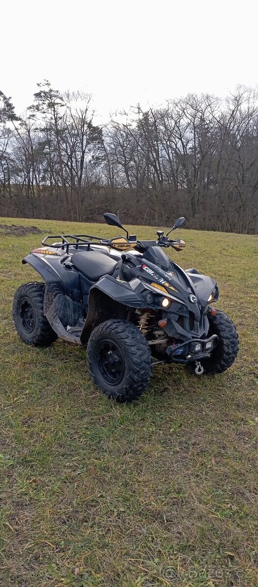 Can am renegade 800