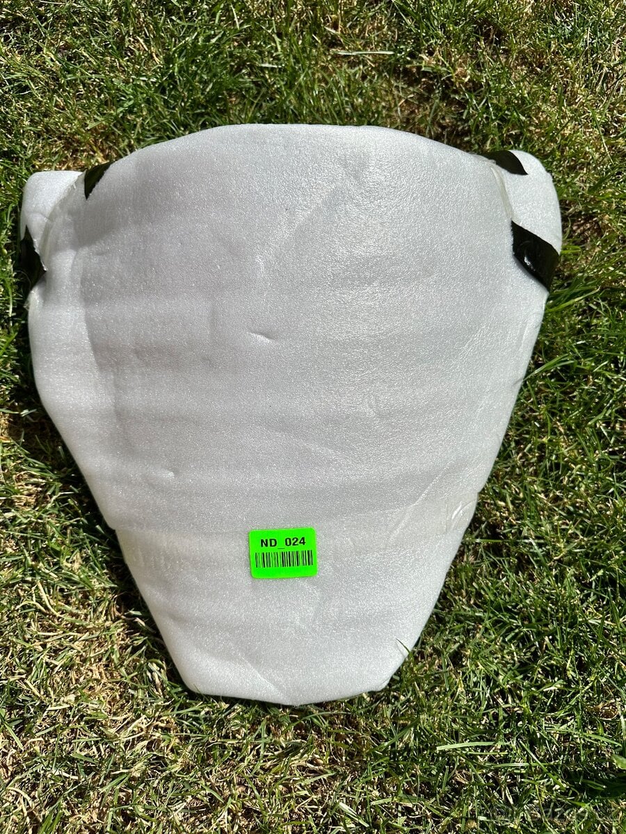 Bmw s1000RR 1. Gen plexi