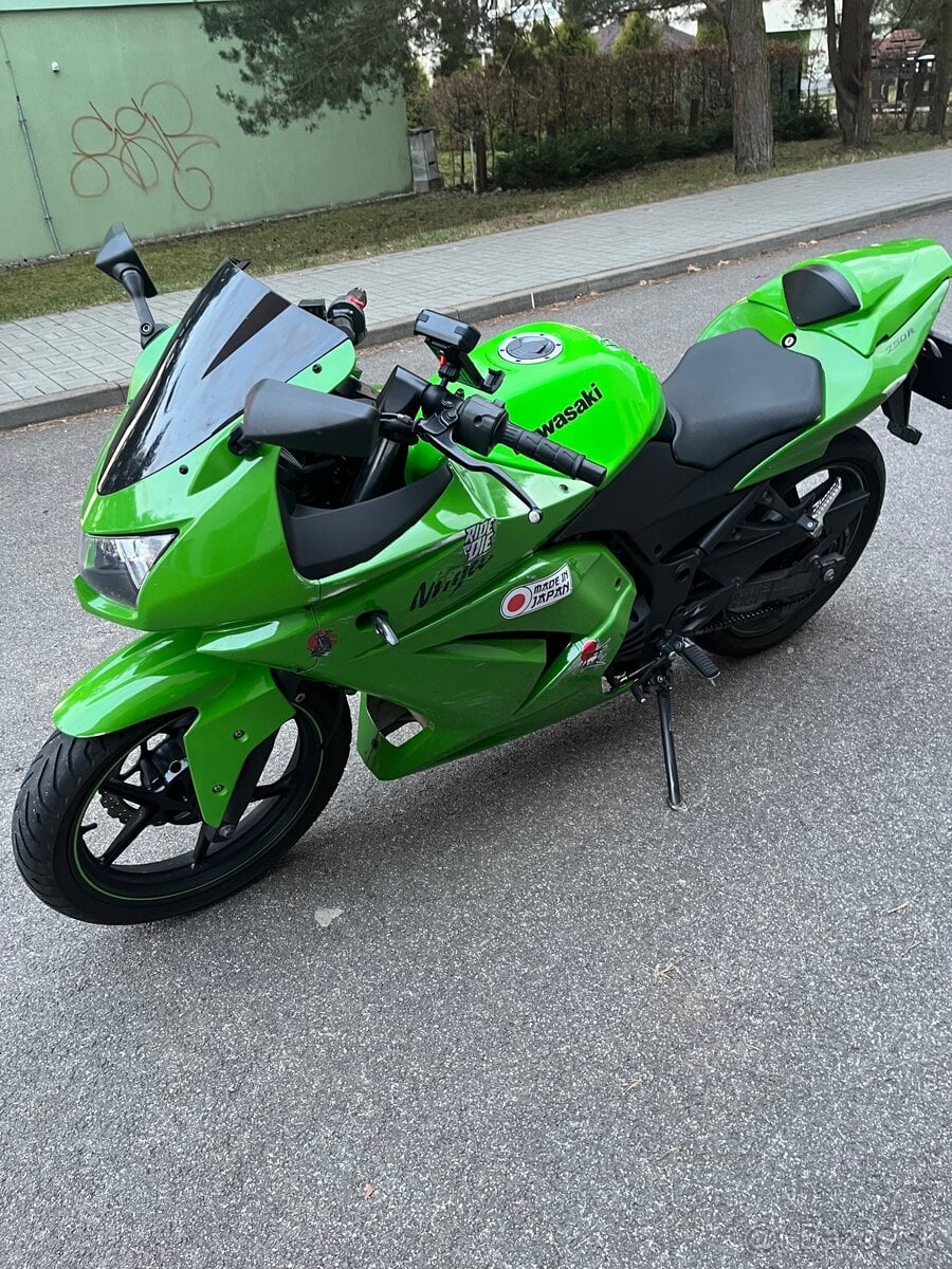 Kawasaki Ninja 250R
