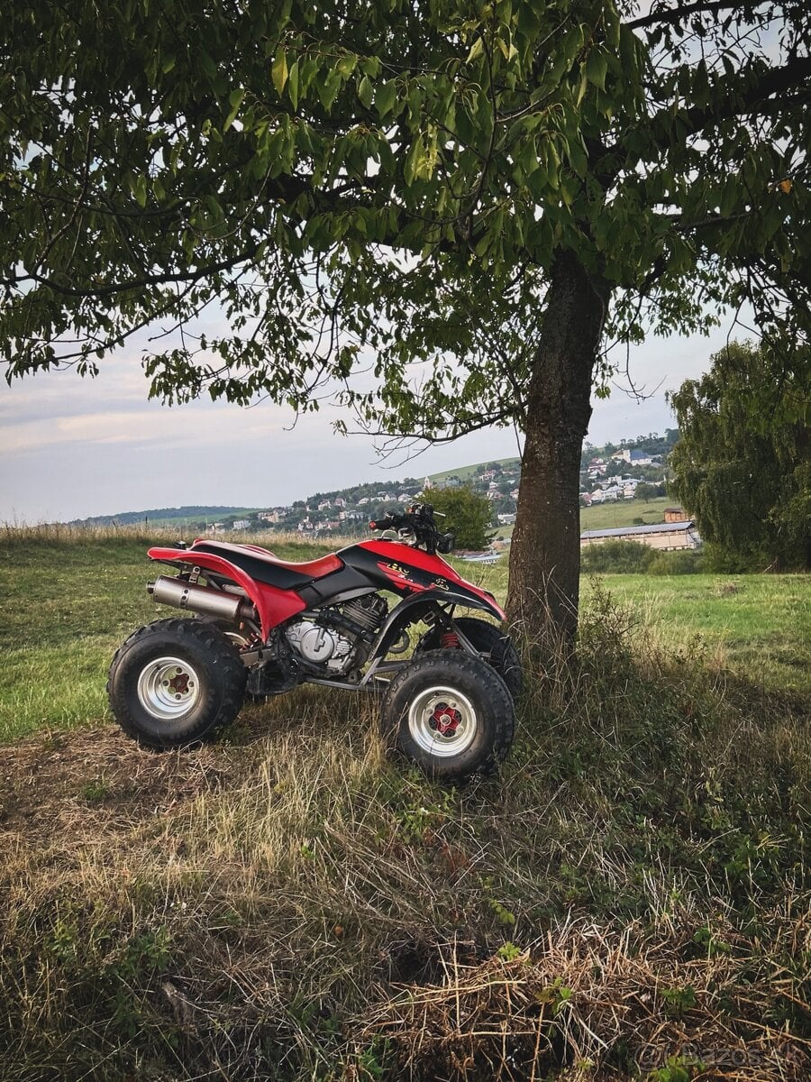 Honda TRX300ex