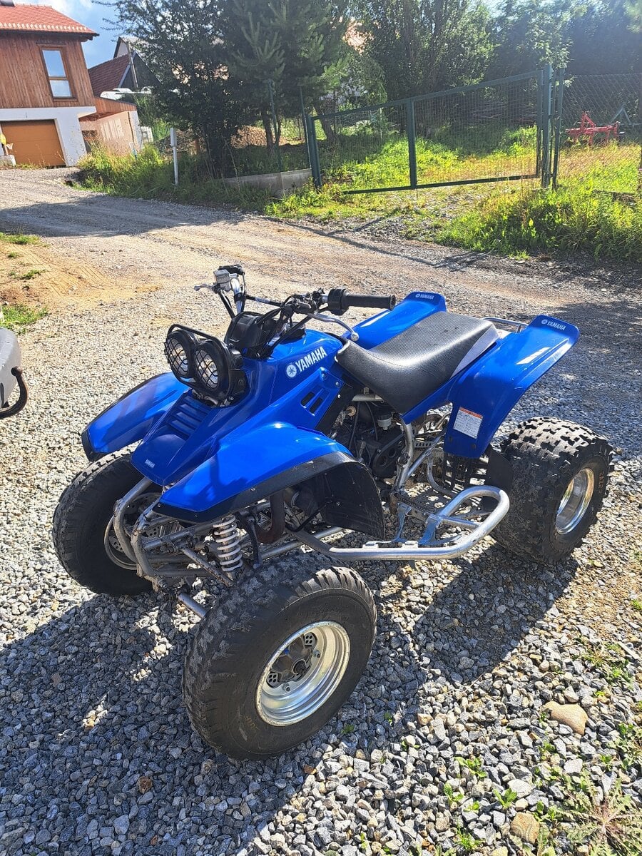 Yamaha warrior 350