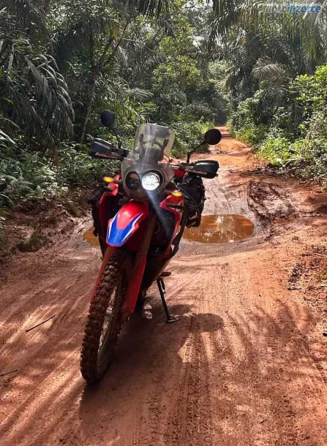 Honda CRF 300 Rally