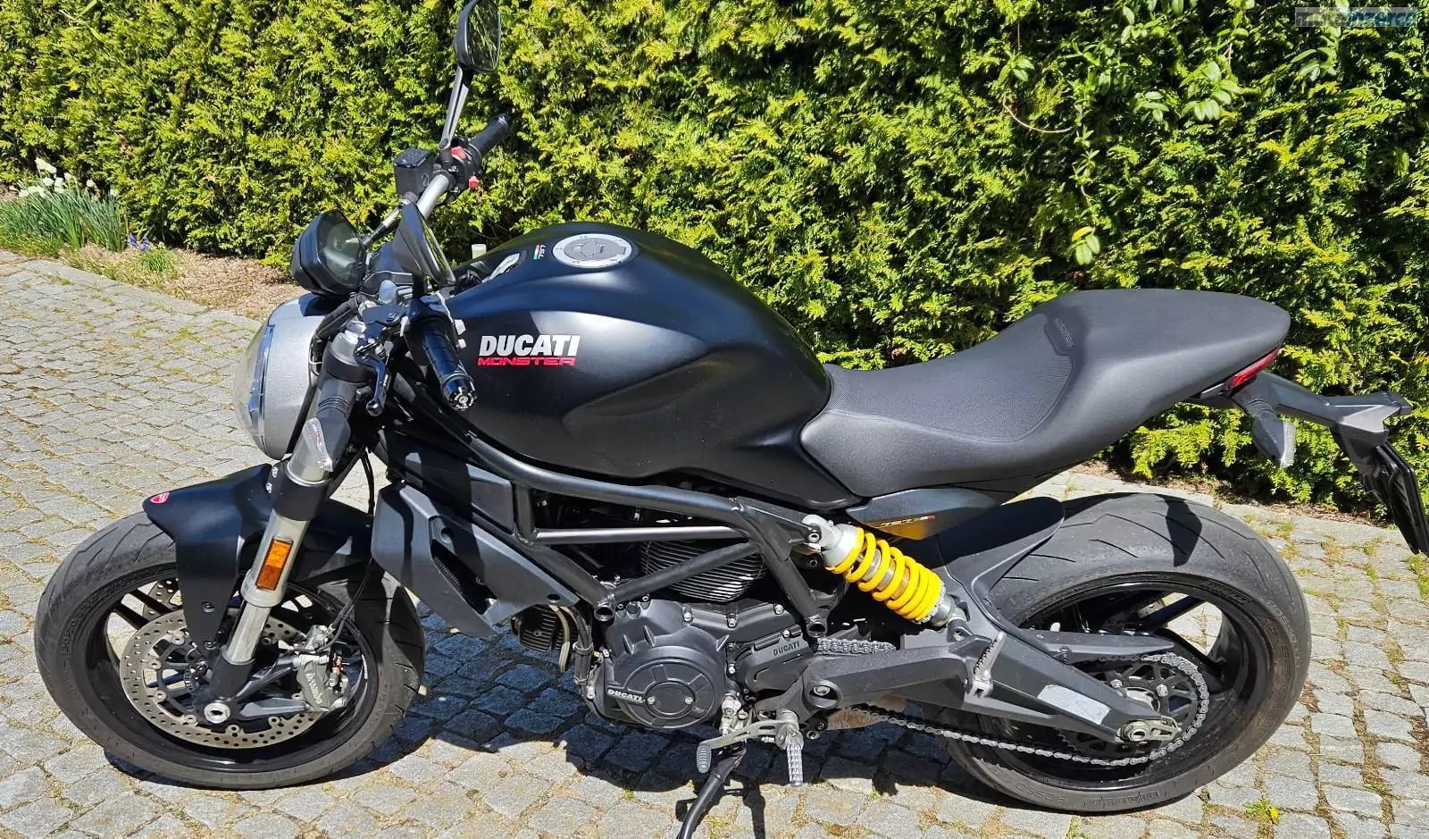 Ducati Monster 797