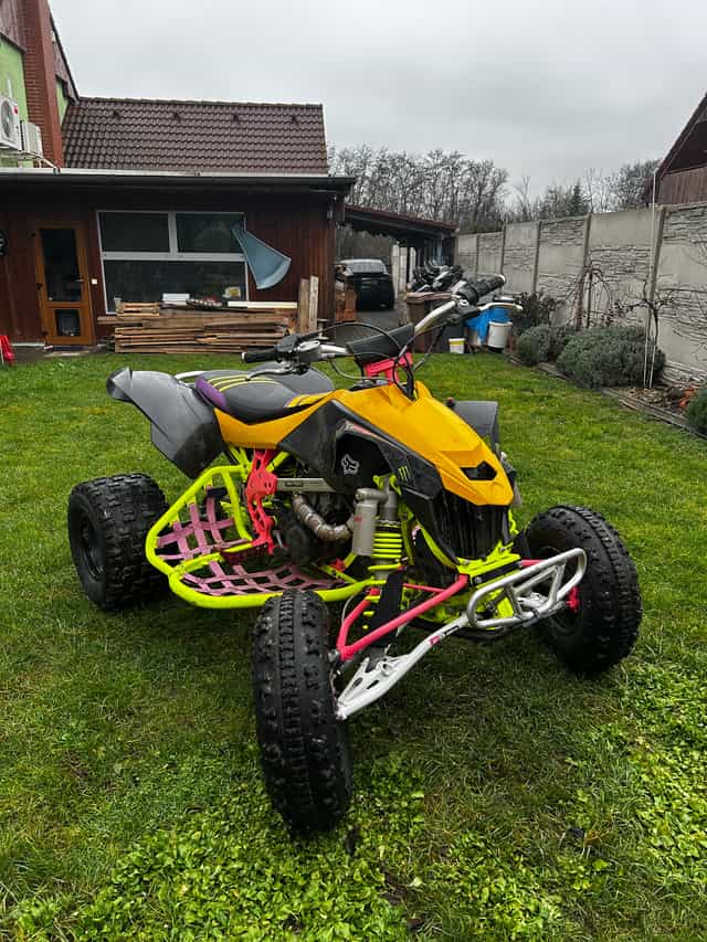 Can am Ds 450