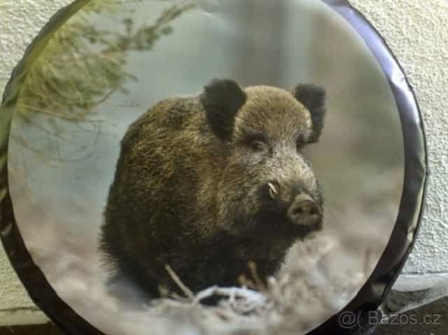 nissan - kryt na rezervu kolesa