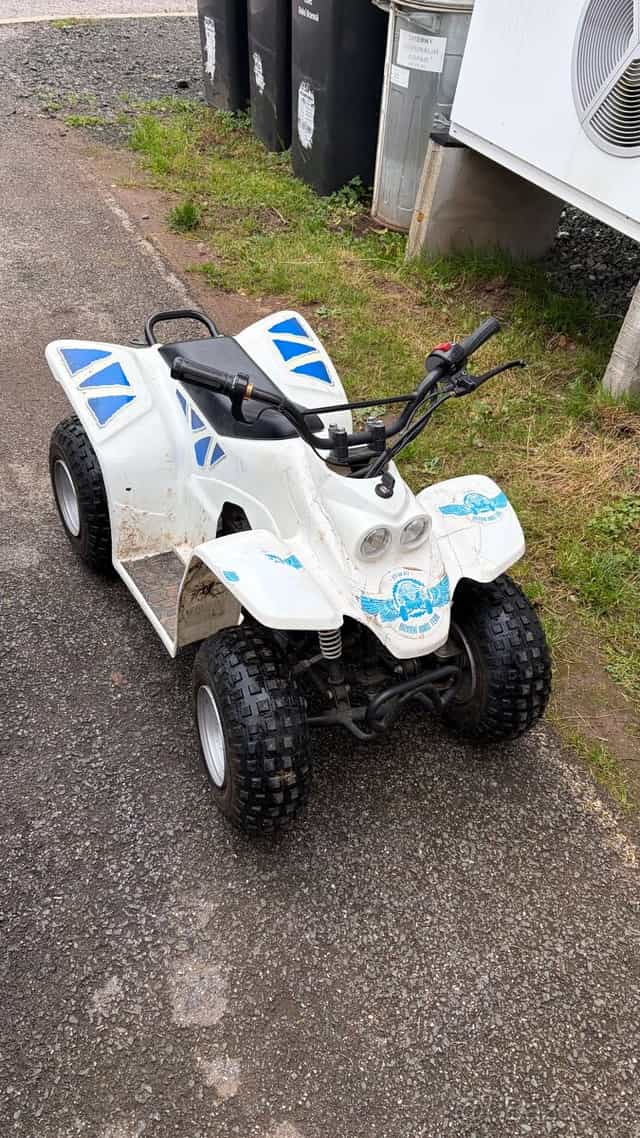 Prodám malou dětskou elektrickou čtyřkolku buzzy 500w