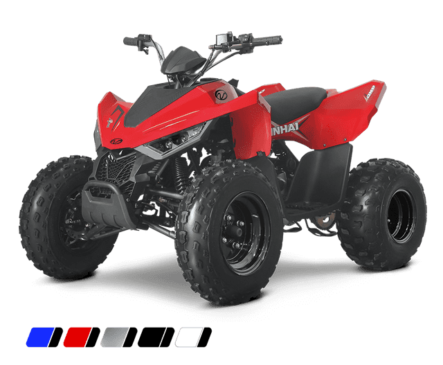 dětská čtyřkolka Linhai ATV 110 2x4