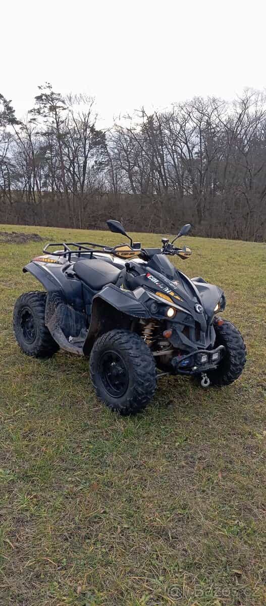 Can am renegade 800