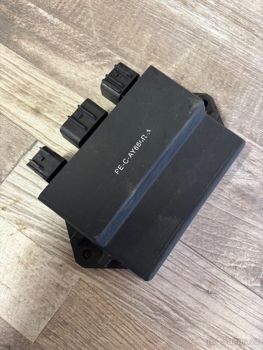 Yamaha Rhino jednotka