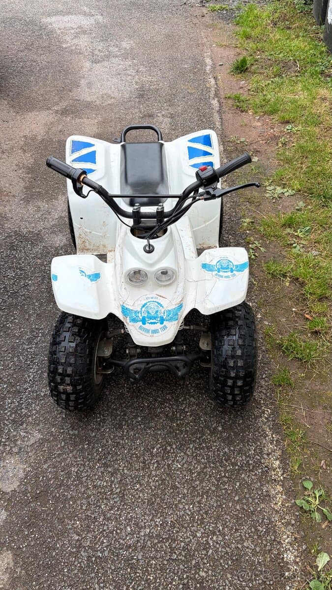 Prodám malou dětskou elektrickou čtyřkolku buzzy 500w