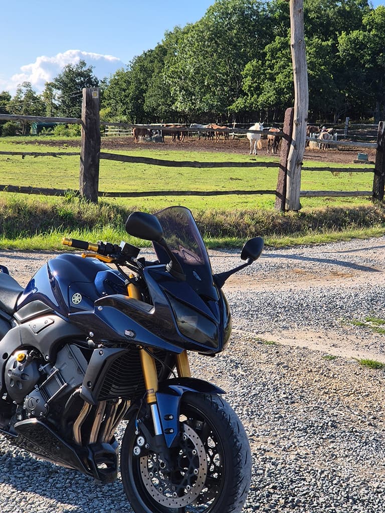 PRODÁM MOTO YAMAHA FZ1 S