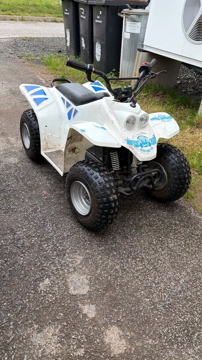 Prodám malou dětskou elektrickou čtyřkolku buzzy 500w