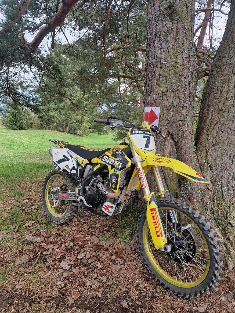 Suzuki rmz 450